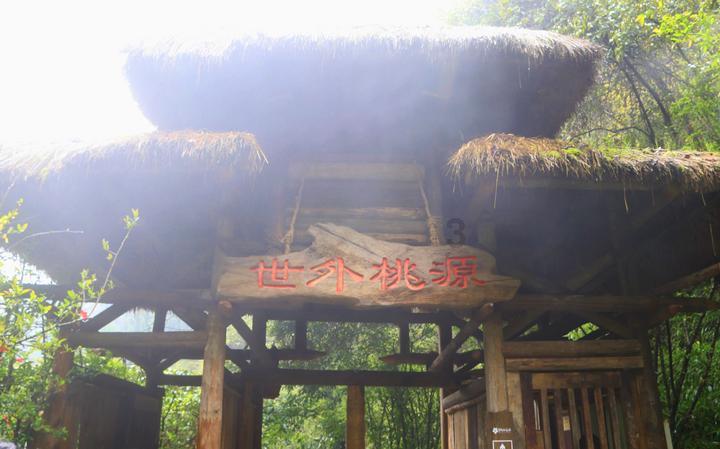 鹅蛋、鸡蛋、鸭蛋的营养价值，有什么不一样吗？