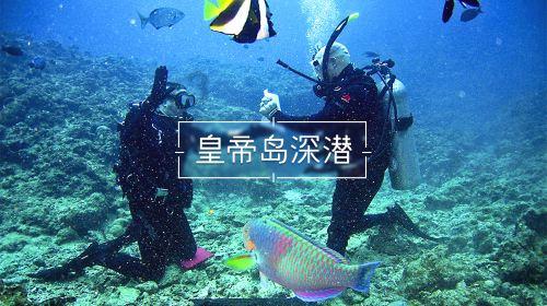 印度最强“讨债人”！老妇人向莫迪索要“皇宫”：100多年前它是我家