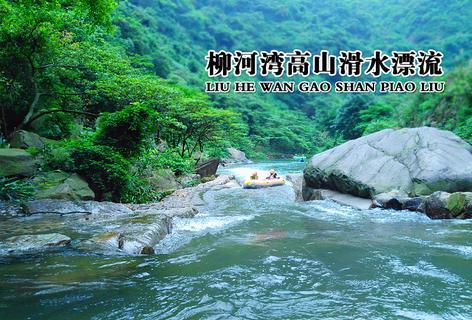 空洞骑士