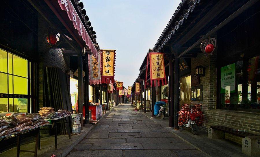 可爱小猫向上跳